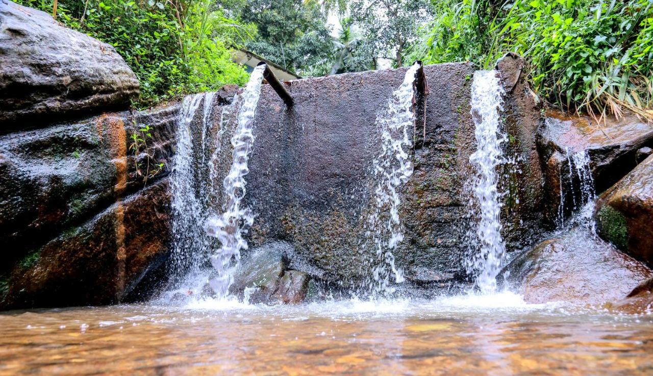 Accommodatie bij particulieren Sura Kandy